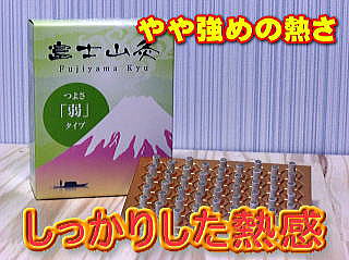 富士山灸弱の画像