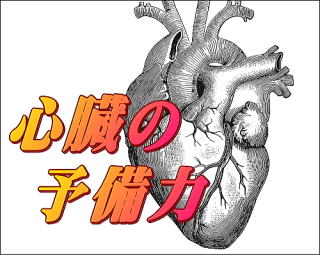 心臓の解剖図