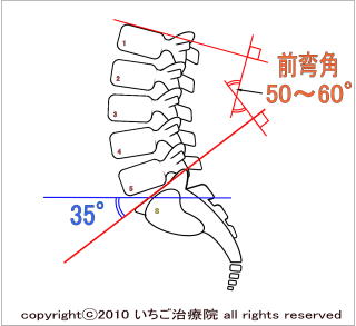前弯角と、腰椎５番〜仙骨間の角度図
